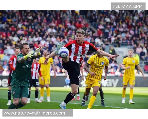 布伦特福德与诺维奇城比赛前瞻及胜负预测分析